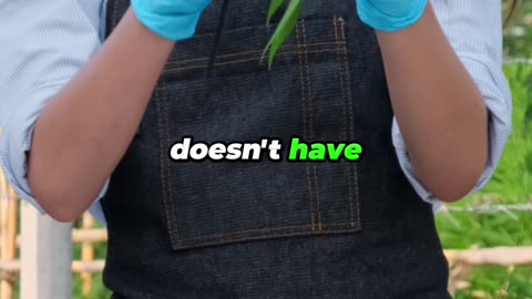 California is probably the #1 producer of Marijuana in th...