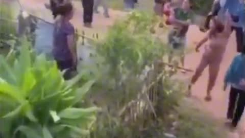 Funny Videos Compilation