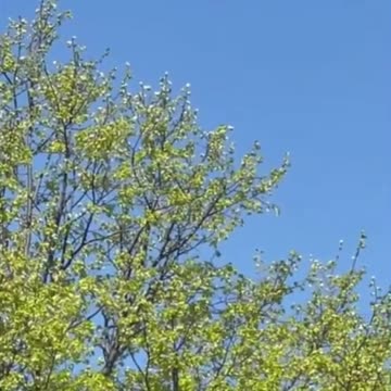 UFO Encounter: Spacecraft UFO/UAP Sighting in Racine, Wisconsin