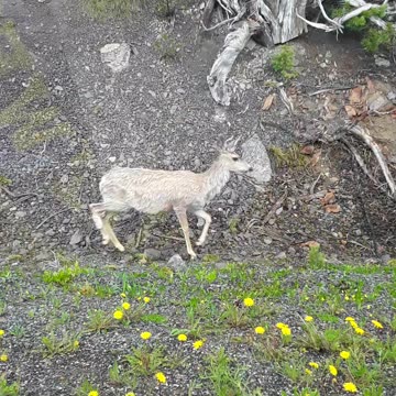 Pray, we stand to lose everything to the CCP if we don't wake up. 6/16/23