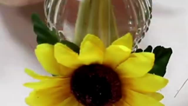 Um super aromatizador para sua casa