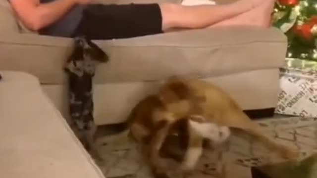 I got you little buddy