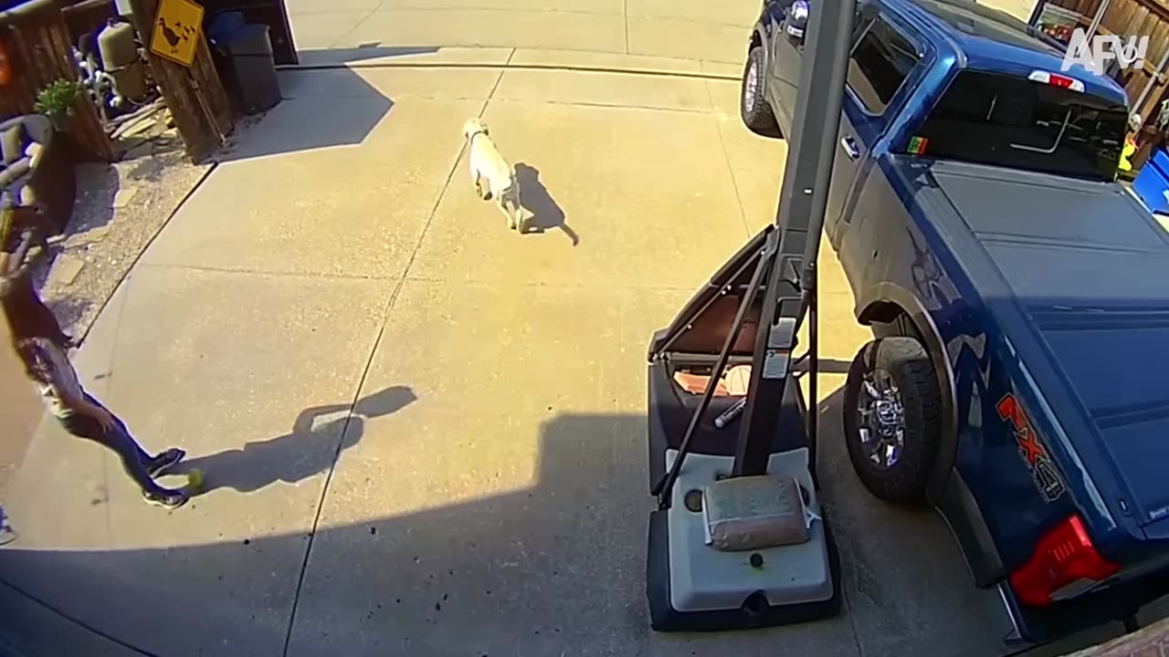 Expensive_Fails_but_They_Keep_Getting_Funnier_🤑(1080p)