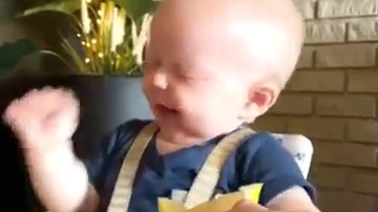 Funny videos 😂
