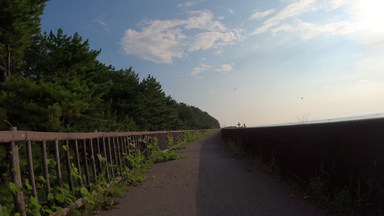 Cycling on Shingu's Tsunami Seawall (Japan)