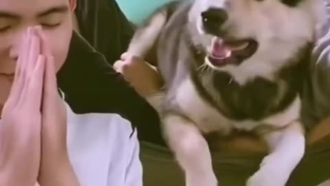 Funniest Dog Video | Famous Pet Prank |
