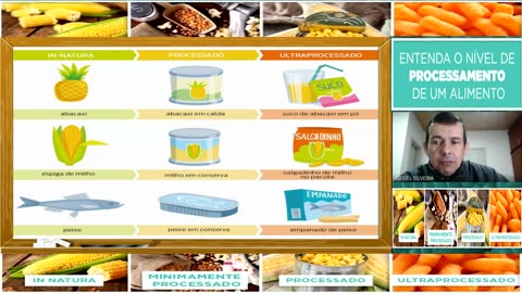 VIDEOAULA: CLASSIFICAÇÃO DOS TIPOS DE ALIMENTOS