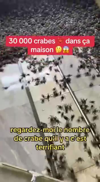 X Files episode 😂