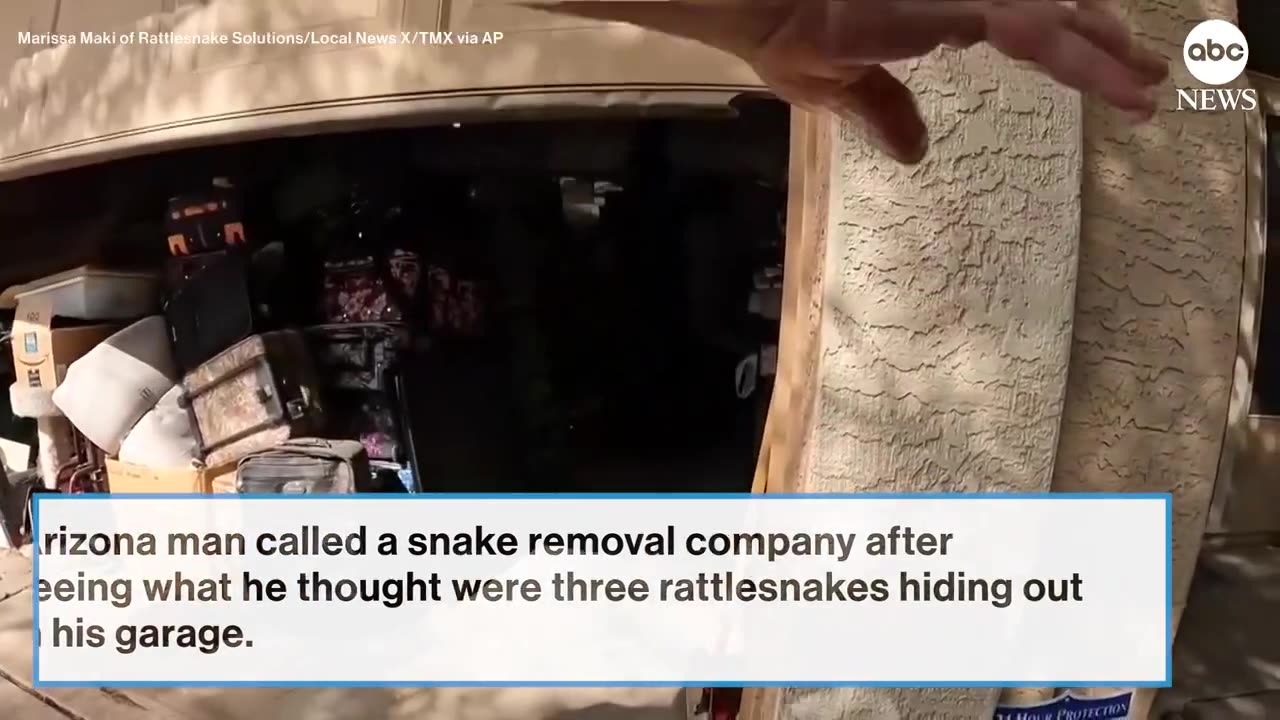 20 rattle snakes found hiding inside Arizona garage !news