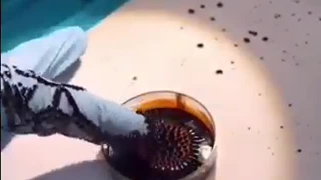 Black Goo (GRAPHENE OXIDE)