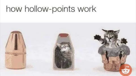 Random Memes 783