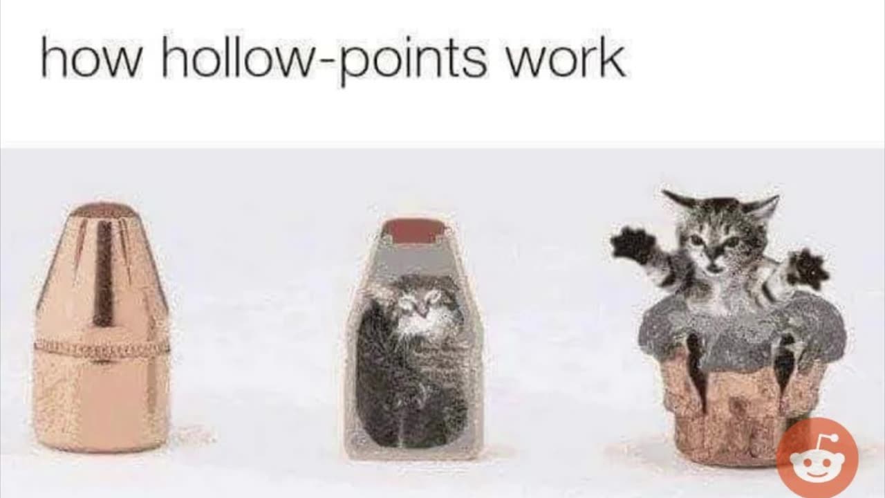 Random Memes 783