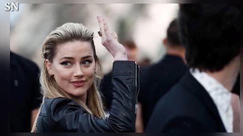 Amber Heard Will Not Be Charged with Perjury as New Case Over Improper Import of 2 Dogs into Austral