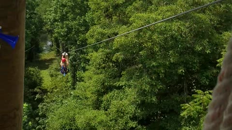 Zipline in Kentucky