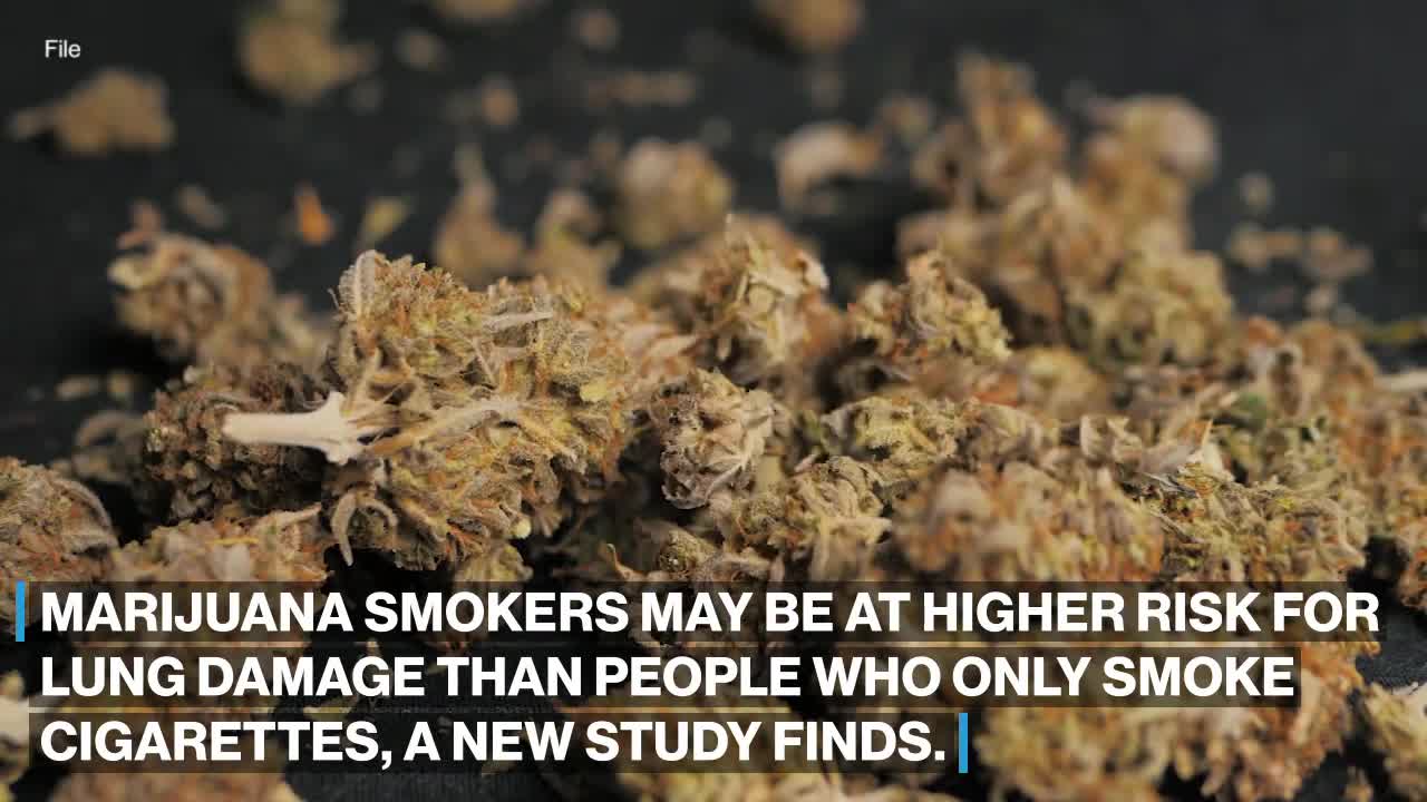 Marijuana smokers could be at more risk for emphysema than cigarette smokers_ Study