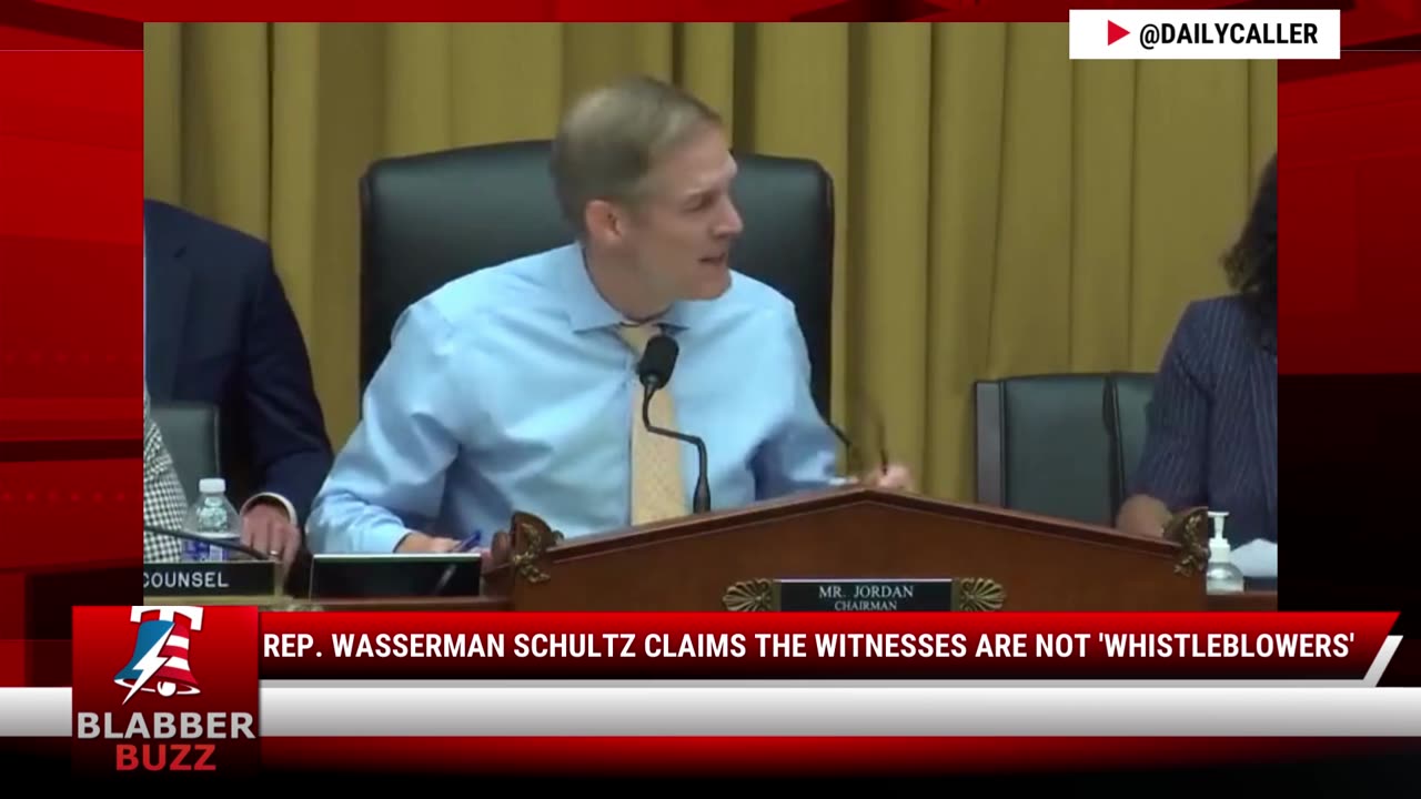 Rep. Wasserman Schultz Claims The Witnesses Are Not 'Whistleblowers'