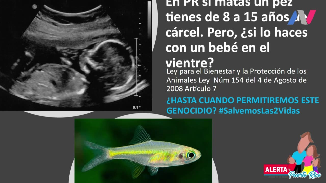 Aborto y la Agenda del Gobierno 2