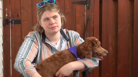 Service dog saves owner 15 times a day | Wholesome video