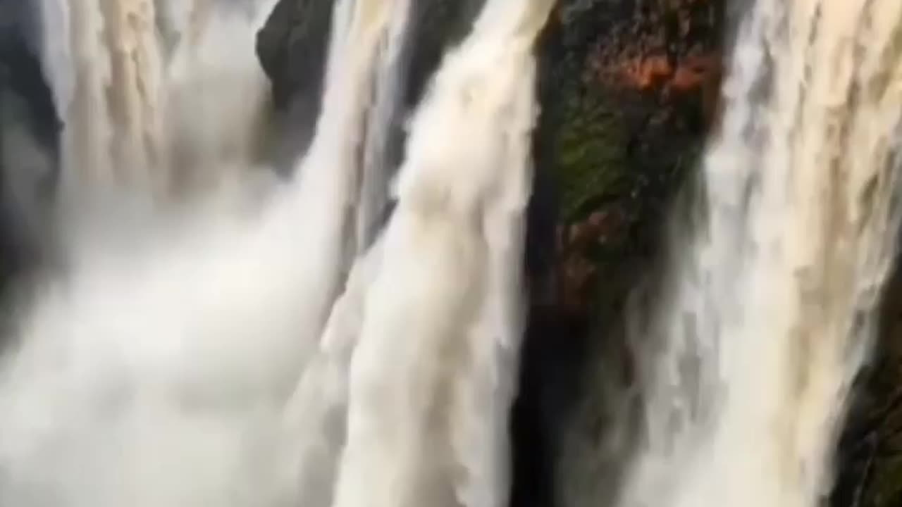 Wildlife in closer view with a natural perspective.