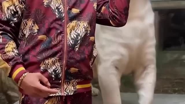 The Real Mowgli Of India 🇮🇳 🇺🇸