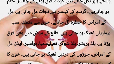 گردے کی تمام بیماریوں علاج | Kidney Diseases | Kidney Treatment