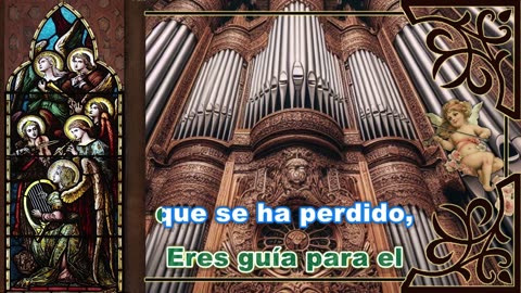 Por siempre sera