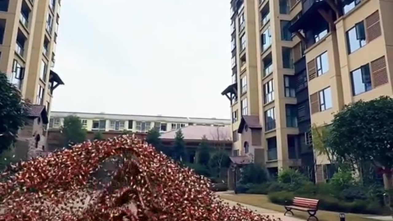 DL Panda Viral Videos on tiktok