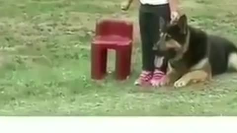 it's fun and fun