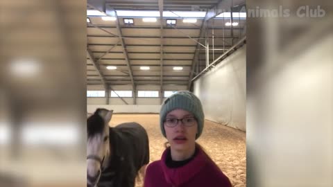 Funniest Animal Videos😂 - Funny Cats😹 and Crazy Dogs🐶 Videos 2023! #2 Download