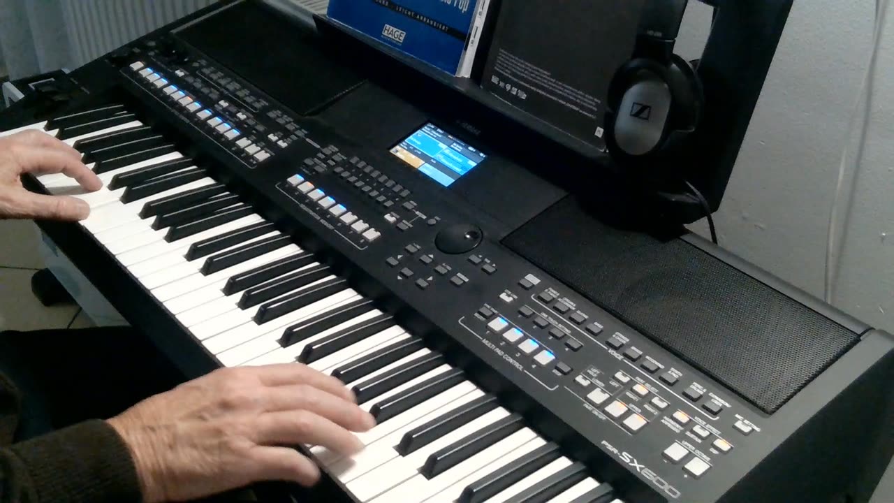 Solamente una vez (Agustín Lara) cover by Henry, Yamaha PSR-SX600