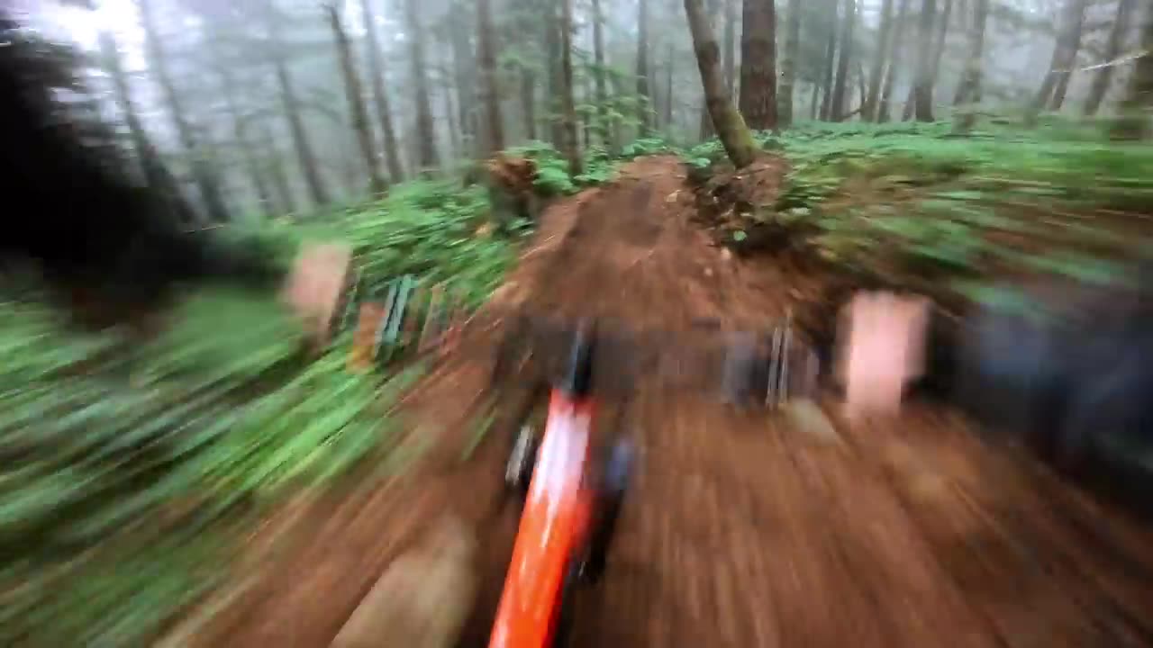 Insane Foggy Forest MTB Ride