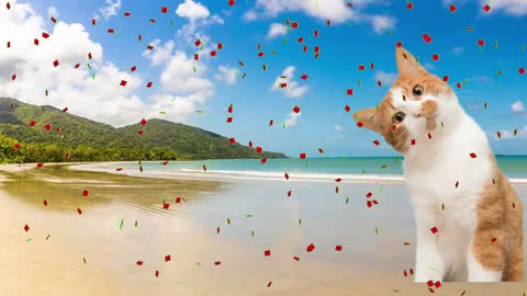 CUTE PETS Dog, Rabbit Cat, Hamster, Rabbit, Parrot 토끼,고양이,햄스터,토끼,앵무새