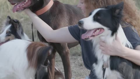 Woman Sitting on the Ground While Petting Dogs