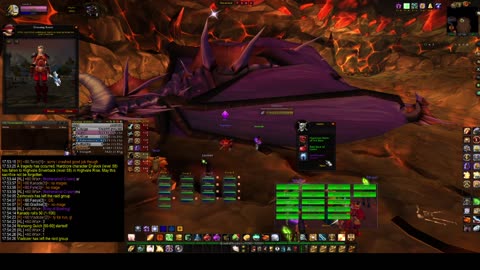 Turtle Wow - Onyxia raid PUG - 29 June - paladin POV - Was it my positioning mistake or a tank fail?