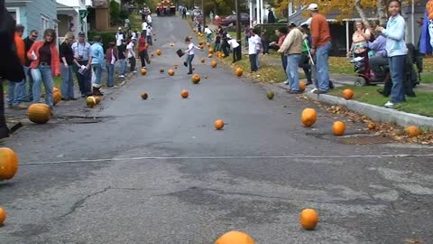 Fall Harvest Pumpkin roll Lyons, N.Y.