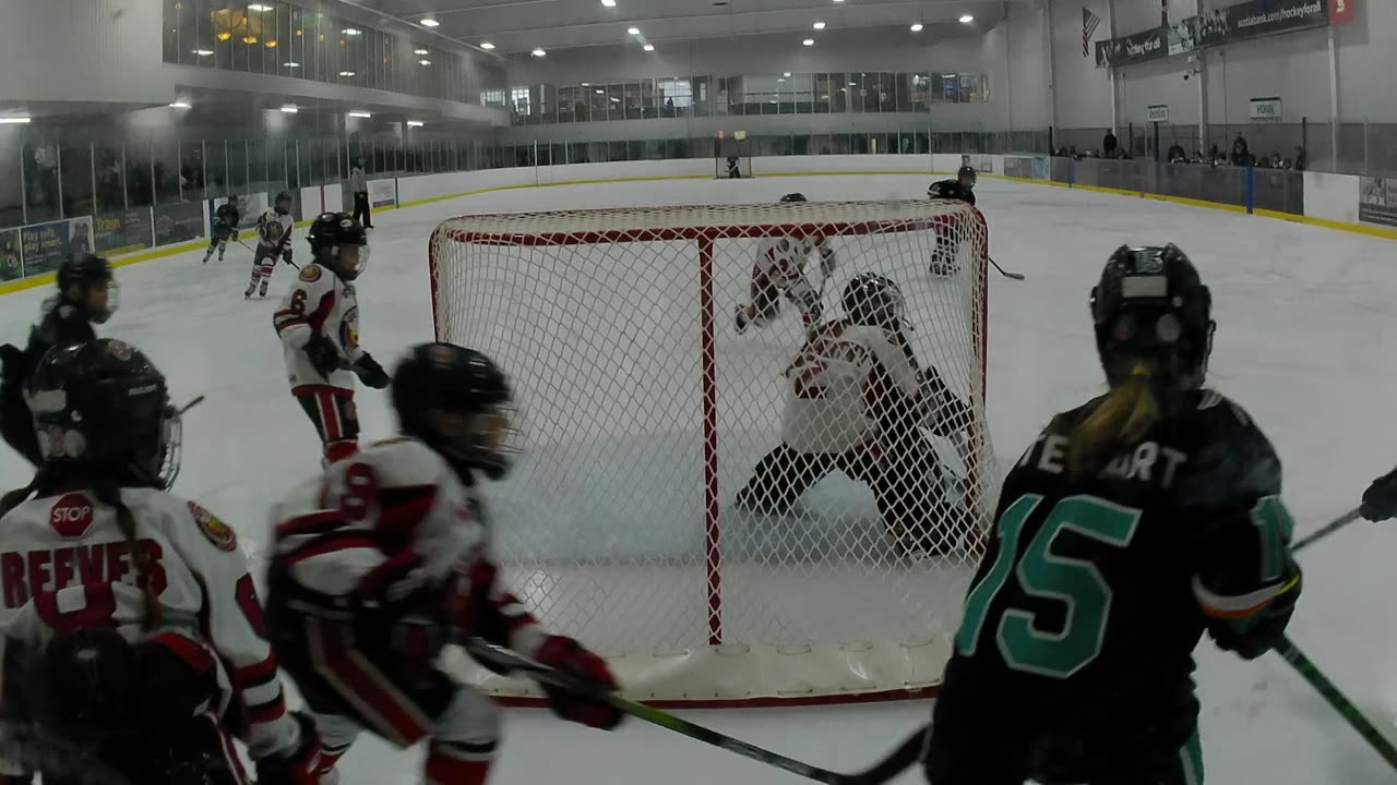 U11A Hornets vs North Halton Twisters 2023-12-03