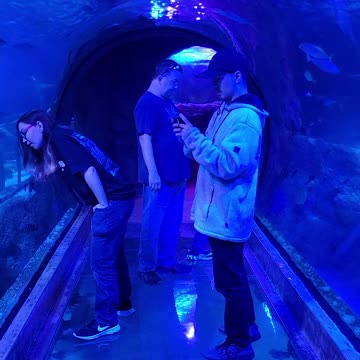 family at the aquarium