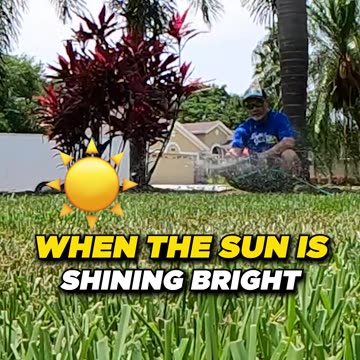 Water On A HOT SUNNY DAY Will Burn The Lawn ??