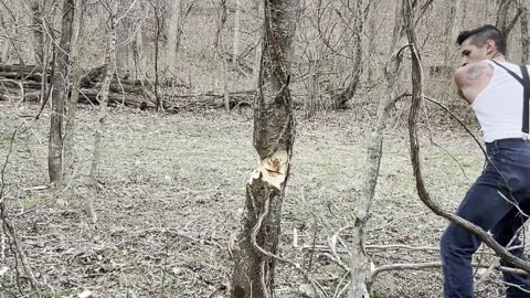 Cutting fence posts