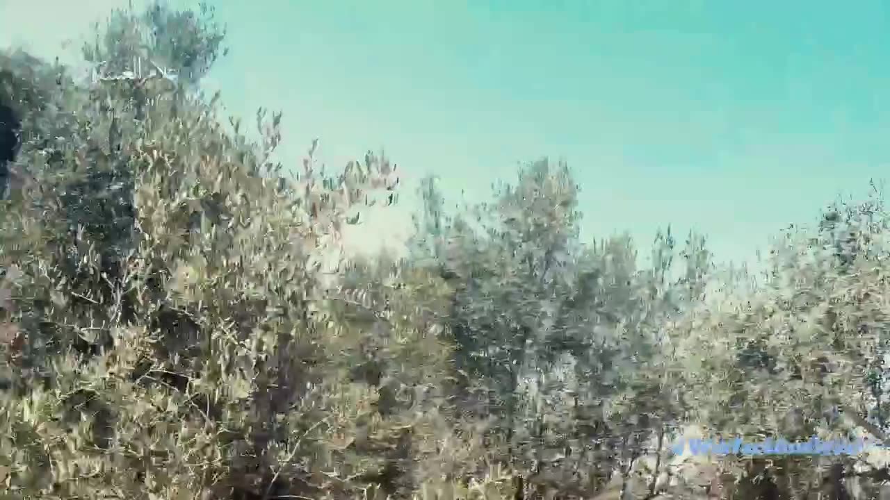 SUPERCUT: 48 minutes of Al-Qassam fighting the Israeli army.
