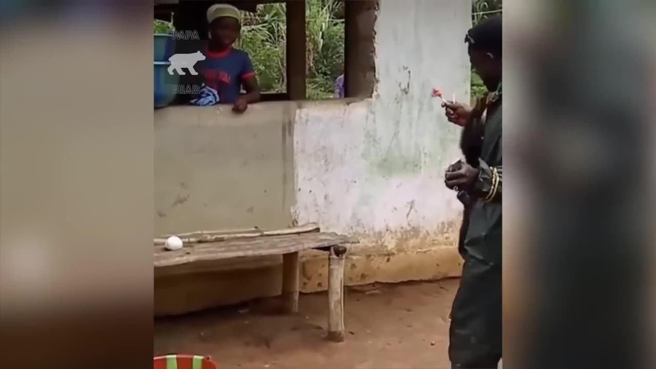 Funny Monkey 1