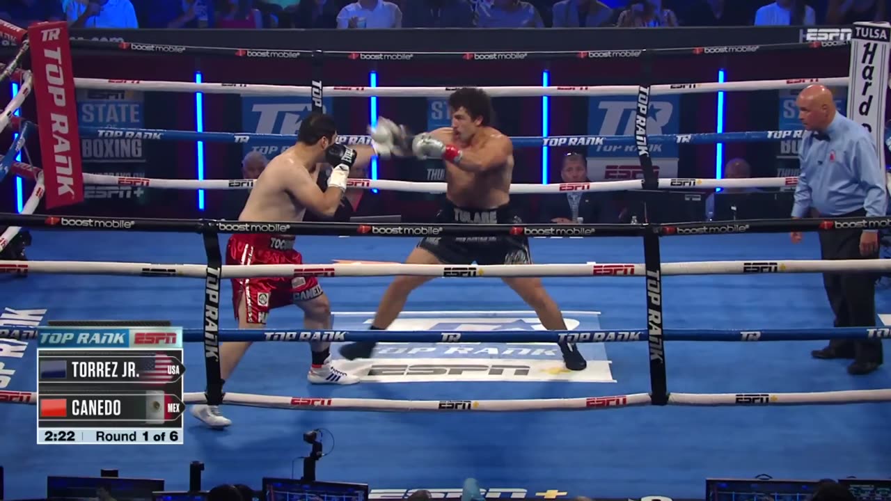 The Viral Richard Torrez Jr Knockout That Had Everyone Talking