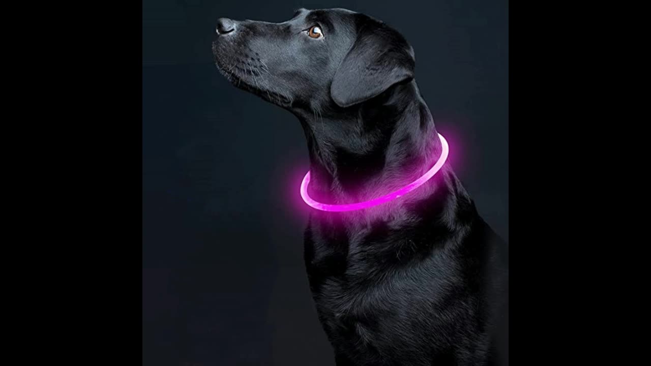 DOGCARE LC01 LED Dog Collar. Colorful Luminous Collar .