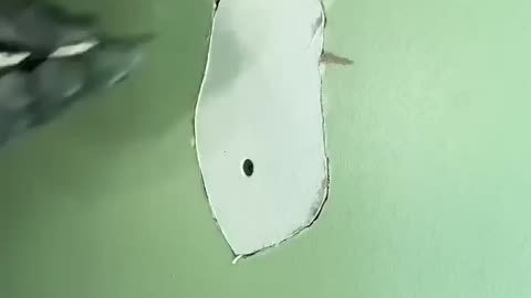 Drywall repair quick and easy