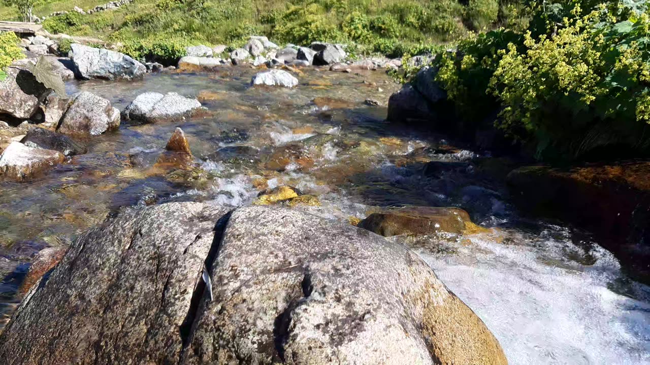 Sections from Creek Videos 13