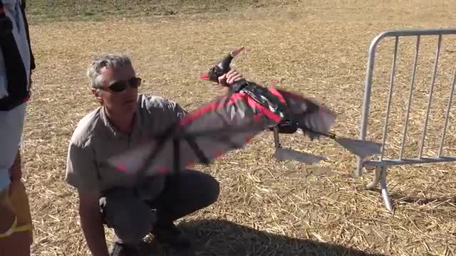 Beugin Airshow 2022 - Ptérodactyle RC