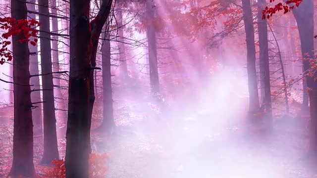 In the rough life, we have to feel beyond ourselves. benavente
