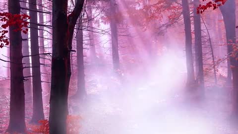 In the rough life, we have to feel beyond ourselves. benavente