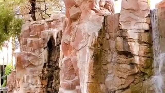 DAY 3_ 라스베가스 플라밍고 호텔 구경 _ LAS VEGAS FLAMINGO HOTEL WILDLIFE HABITAT WITH KIDS