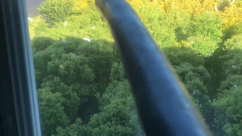 Mr Fly gets what is coming